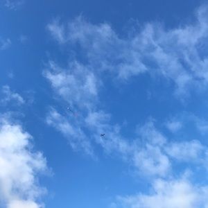 Meet your Posher, Shandy